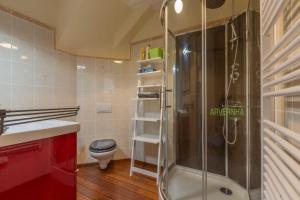 a bathroom with a shower and a toilet and a sink at Le Petit Lutess in Murol