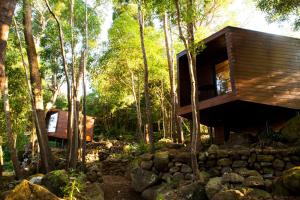 Caparica Azores Ecolodge في Biscoitos: منزل شجرة في الغابة مع كومة من الصخور