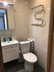 a bathroom with a toilet and a sink and a mirror at 1-Bedroom apartment in city centre in Paide