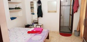 a small room with a bed and a shower at Padmaa Hampi Villa in Hampi
