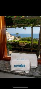 una toalla sentada en una mesa frente a una ventana en Guesthouse Coralba en Isquia