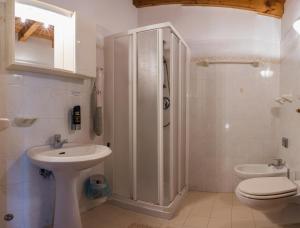 a bathroom with a shower and a sink and a toilet at Hotel El Paso in Fai della Paganella