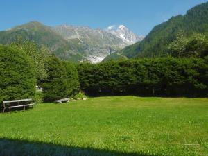 un parco con panchina in un campo con montagne di Chalets Pyrene Mont-Blanc a Chamonix-Mont-Blanc