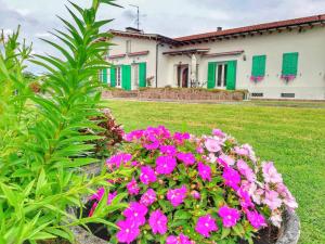 A garden outside Exclusive Villa