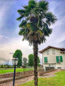 A garden outside Exclusive Villa