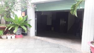 ブンタウにあるAn Phuc Hotelの植物の開扉 +20枚の写真