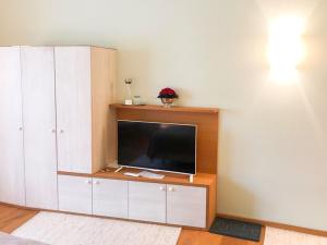 Telewizja i/lub zestaw kina domowego w obiekcie Die Schmiede