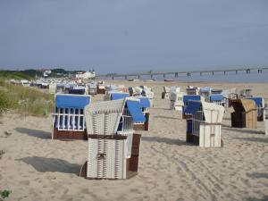 a row of beach chairs on a sandy beach at Bungalow (hälfte) Steuerbord Ahlbeck (Usedom) in Ahlbeck