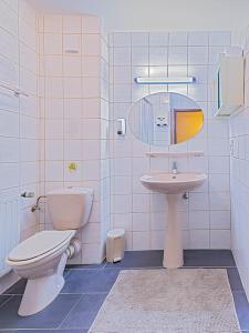 uma casa de banho com um WC e um lavatório em Hostellerie Val Fleuri em Mersch