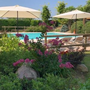 a garden with flowers and umbrellas next to a swimming pool at agriturismo" il glicine bianco" in Monzambano