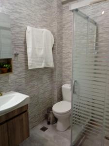 a bathroom with a toilet and a glass shower at Ioannas in Nikiti