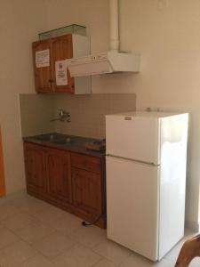 Kuchyň nebo kuchyňský kout v ubytování Hotel Kallithea