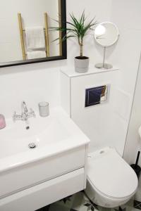 a bathroom with a sink and a toilet and a mirror at Apartament Flauta in Mikołajki