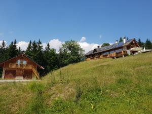 a house on the side of a hill at Agriturismo Gacceman in Ugovizza