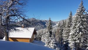 a cabin covered in snow in a snowy forest at Agriturismo Gacceman in Ugovizza +4 photos