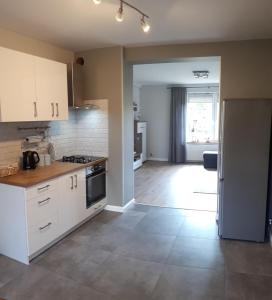 Kuchnia lub aneks kuchenny w obiekcie Apartament w lesie