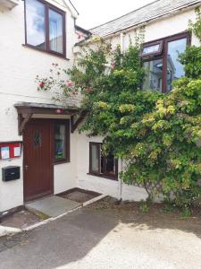 a white house with a brown door and a tree at the old red lion in Bruton