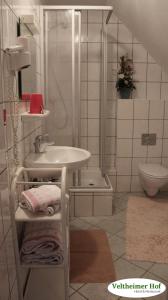 La salle de bains est pourvue d'un lavabo, d'une douche et de toilettes. dans l'établissement Landgasthaus Veltheimer Hof, à Porta Westfalica
