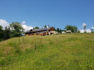 a house sitting on top of a grassy hill at Agriturismo Gacceman in Ugovizza
