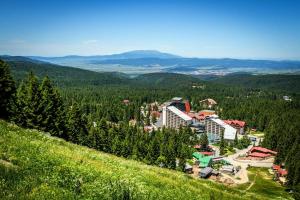 Gallery image of VIVA Flora apartment 607A in Borovets