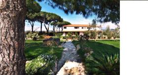 una casa con un árbol delante de un patio en Agriturismo Le Frasche, en Alberese