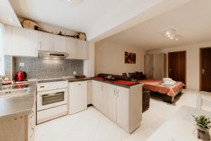 A kitchen or kitchenette at Aigli Studio