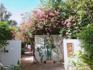 Zahrada ubytování Eureka Villas Siem Reap
