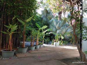 Zahrada ubytování Eureka Villas Siem Reap