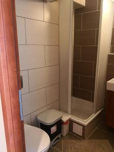 y baño pequeño con aseo y ducha. en Panoráma906 Apartman en Siófok