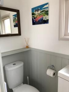 a bathroom with a white toilet and a mirror at Fisherman's Hut in Tarbert
