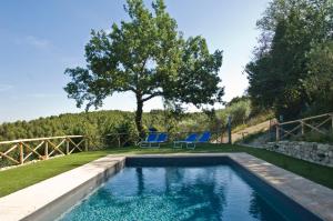 a swimming pool with two blue chairs and a tree at Casale del Monsignore in Spoleto