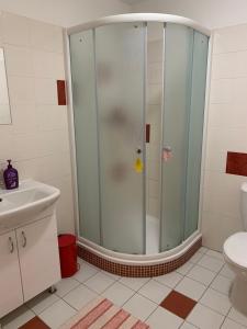Vannituba majutusasutuses Penzion Apartmány Adamčík