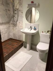 a bathroom with a sink and a toilet and a mirror at Orchard Manor in Probus +87 photos
