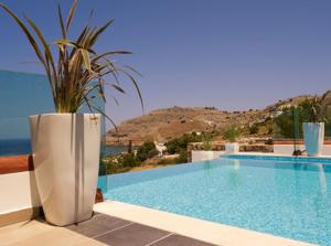 a villa with a swimming pool with a potted plant at Luxury Villa Eos in vlicha