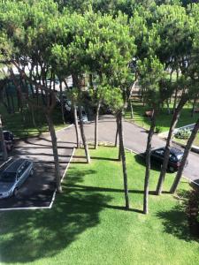 Ogród w obiekcie Residencial Algaida