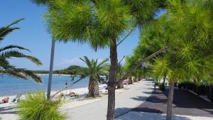 a beach with palm trees and people on the beach at Zagi in Povljana
