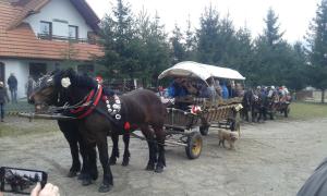 a group of people riding in a horse drawn carriage at Pokoje u Pitera in Sromowce Wyżne