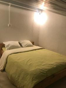 Bett mit grüner Bettdecke und Licht in der Unterkunft vue océan à Seignosse in Seignosse