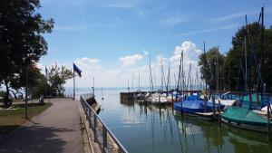 a group of boats docked in a harbor at Ferienunterkunft Dolce Vita in Friedrichshafen