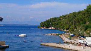 Hrvatska, SALI, Apartment in a beautiful bay Sascica
