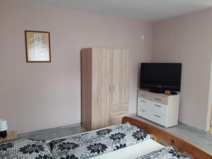 Televízia a/alebo spoločenská miestnosť v ubytovaní Aquatherma Apartman