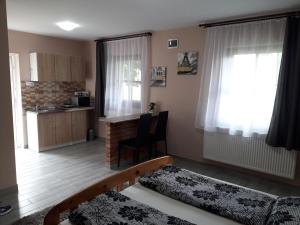 Kuchyňa alebo kuchynka v ubytovaní Aquatherma Apartman