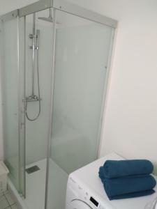 a bathroom with a shower and a washing machine at imperatrice 2 in Berck-sur-Mer