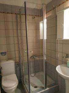 シヴォタにあるAnGeo Apartmentsのバスルーム(シャワー、トイレ、洗面台付)