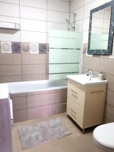 a bathroom with a tub and a sink and a toilet at Skyline Rooftop Condos in Oradea