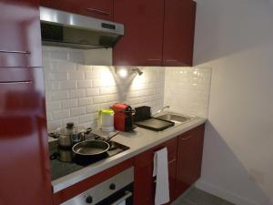 cocina pequeña con fregadero y fogones en Appartement cosy à 10 minutes de Chambord, en Mer