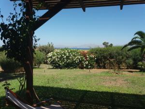 Zahrada ubytování Villa Kos
