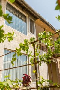 a house with windows and plants in front of it at Mereti in Borjomi