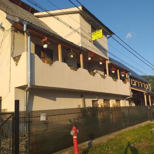 budynek z doniczkami na boku w obiekcie Pensiunea Casa Maria w mieście Vişeu de Sus