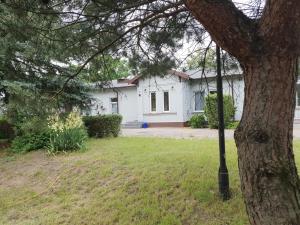 a white house with a tree in front of it at Pensjonat Tężniowa 6 in Ciechocinek